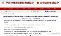 云南投资爆料最新消息,揭秘最新热点项目与投资机遇